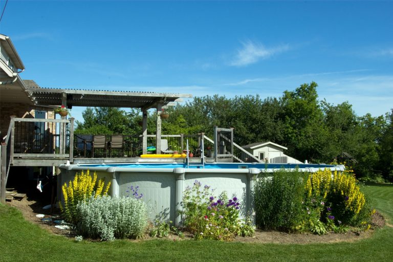 An above ground pool in a backyard, with flowers around the sides.