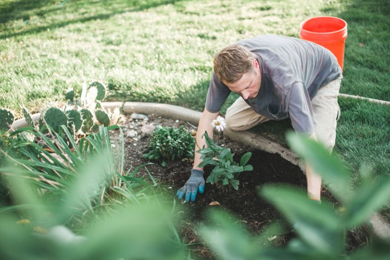 A man working in a garden bed.