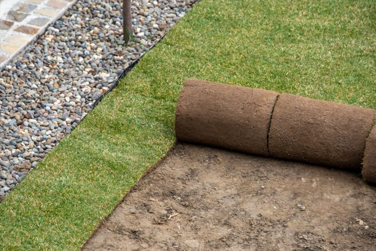 New sod being laid out in a yard.