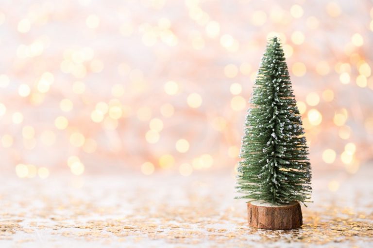 10 Best Things to Do During the Holidays
